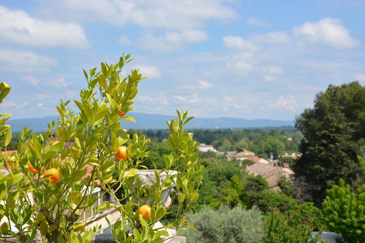 Le Petit Chateau Châteauneuf-de-Gadagne Buitenkant foto